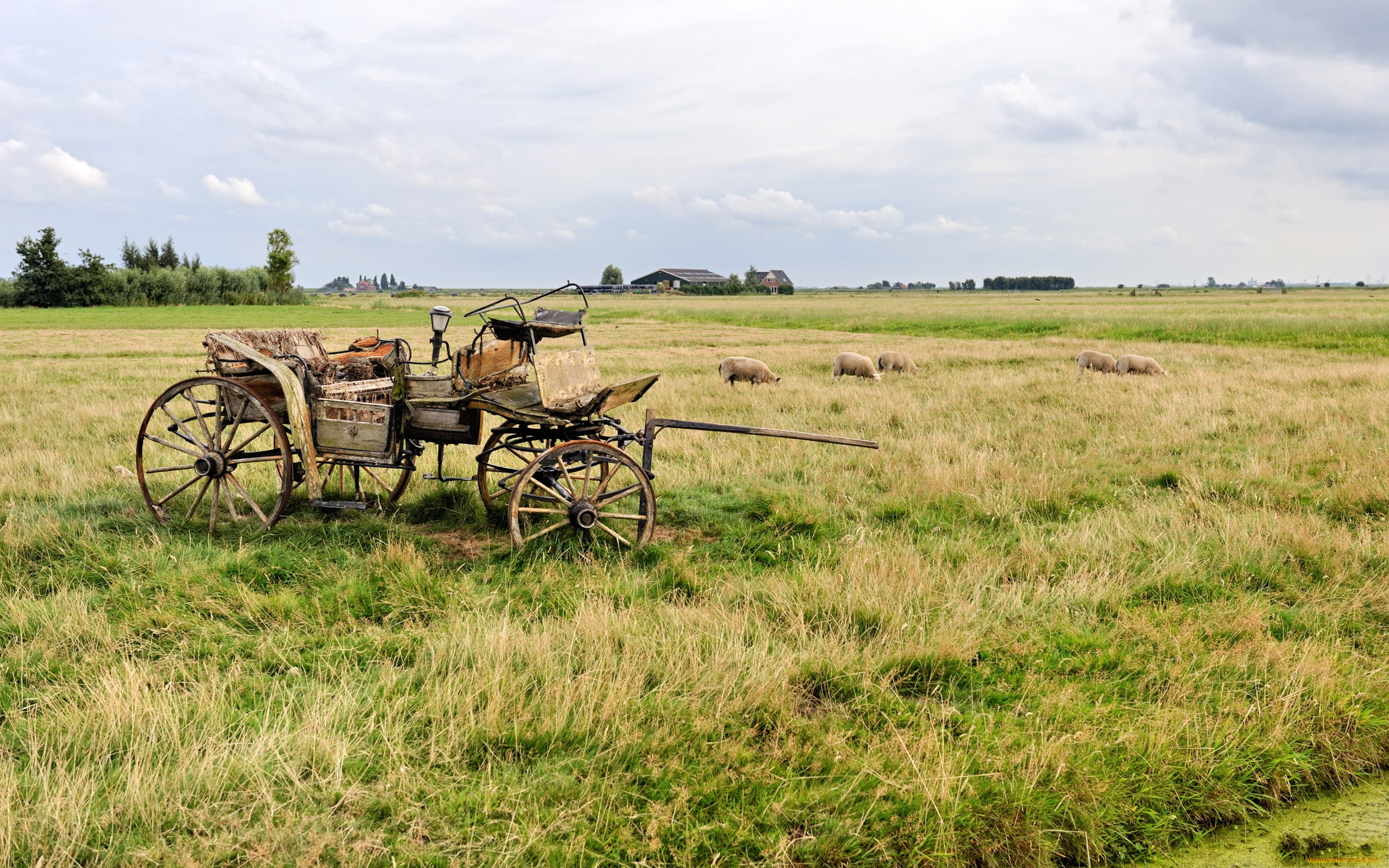 Old field. Сено в телеге. Старая телега в поле. Телега деревенская. Деревня в степи.